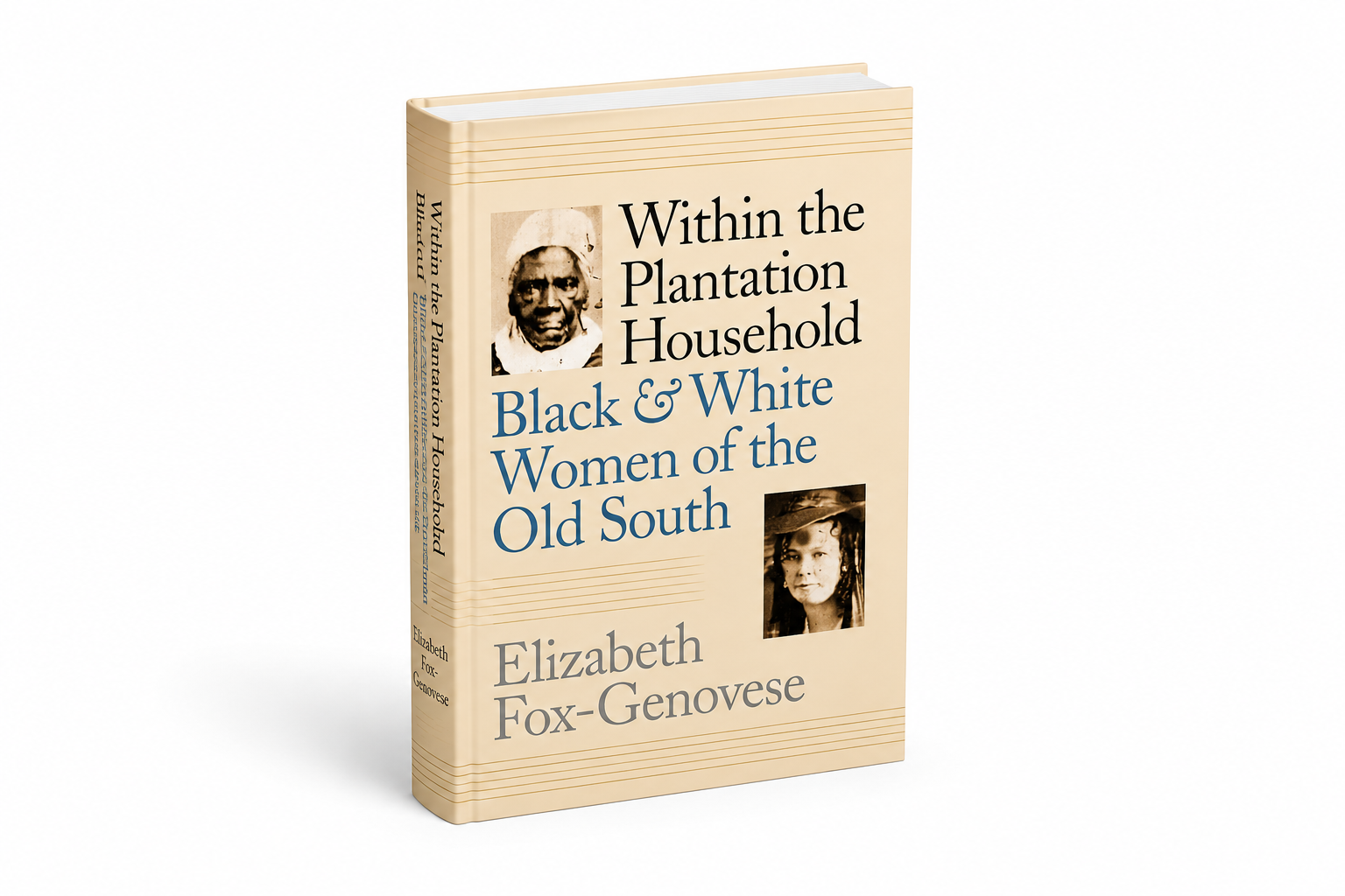 Within the Plantation Household: Black and White Women of the Old South (Gender and American Culture)